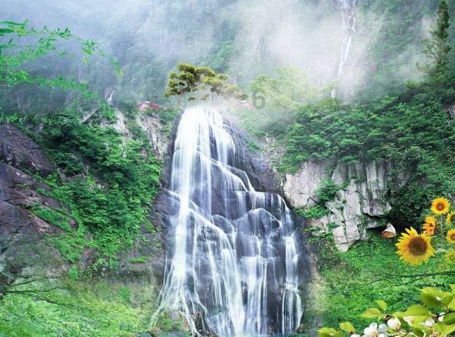我们的节日·春节丨连开两天，桐乡人快来这里“赶集”！